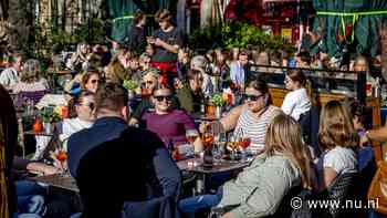 Brouwers verkopen minder bier met alcohol, alcoholvrij groeit juist hard