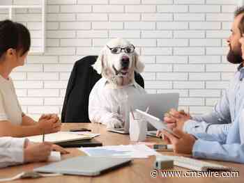 CX Metrics Are Failing in the Boardroom. Here's What CFOs Actually Want to See
