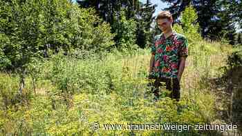 Garten-Influencer verrät: Das würde ich bei Hitze in meinem Garten nie tun