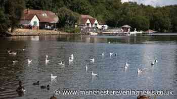 The Manchester park with boat lake, farmyard animals, and two cafes perfect for a day out