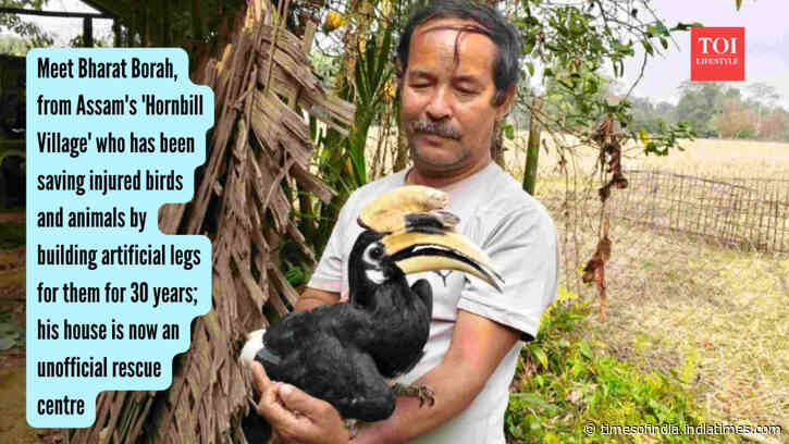Assam Man Runs Rescue Home: villager turns house into wildlife centre; builds legs for storks