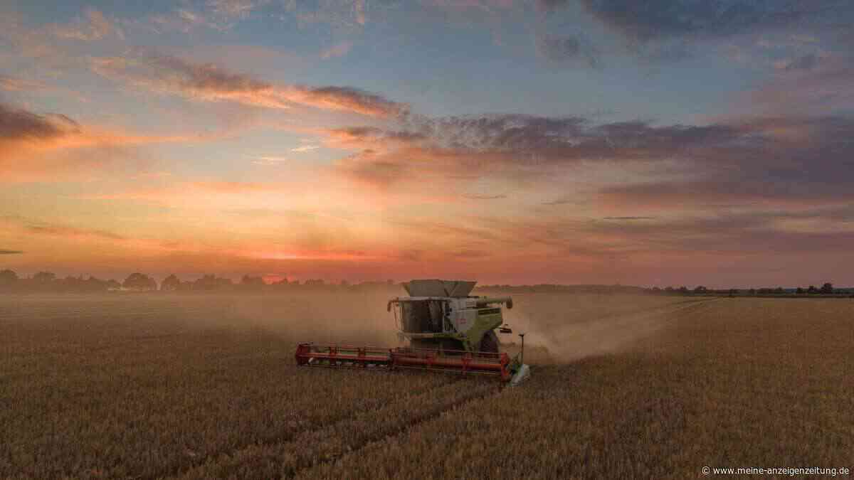 Geschädigte Böden: Folgen könnten 71 Millionen Menschen die Nahrung kosten