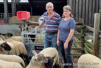 Industry overhauls sheep lameness plan after 15 years