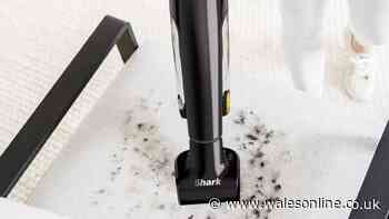 Shark's handheld vacuum gets in all 'nooks and crannies' down to £60 from £80