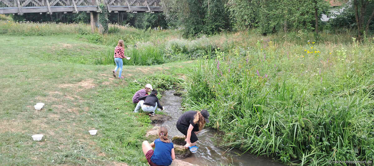 „Fischer machen Schule“ mit dem Anglerverein Baunach