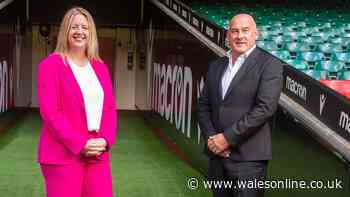 New WRU chair told they must deliver axe and Joe Schmidt to make Ireland return