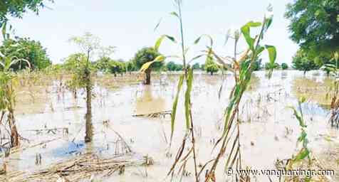 Farmers in tale of woes over flooding