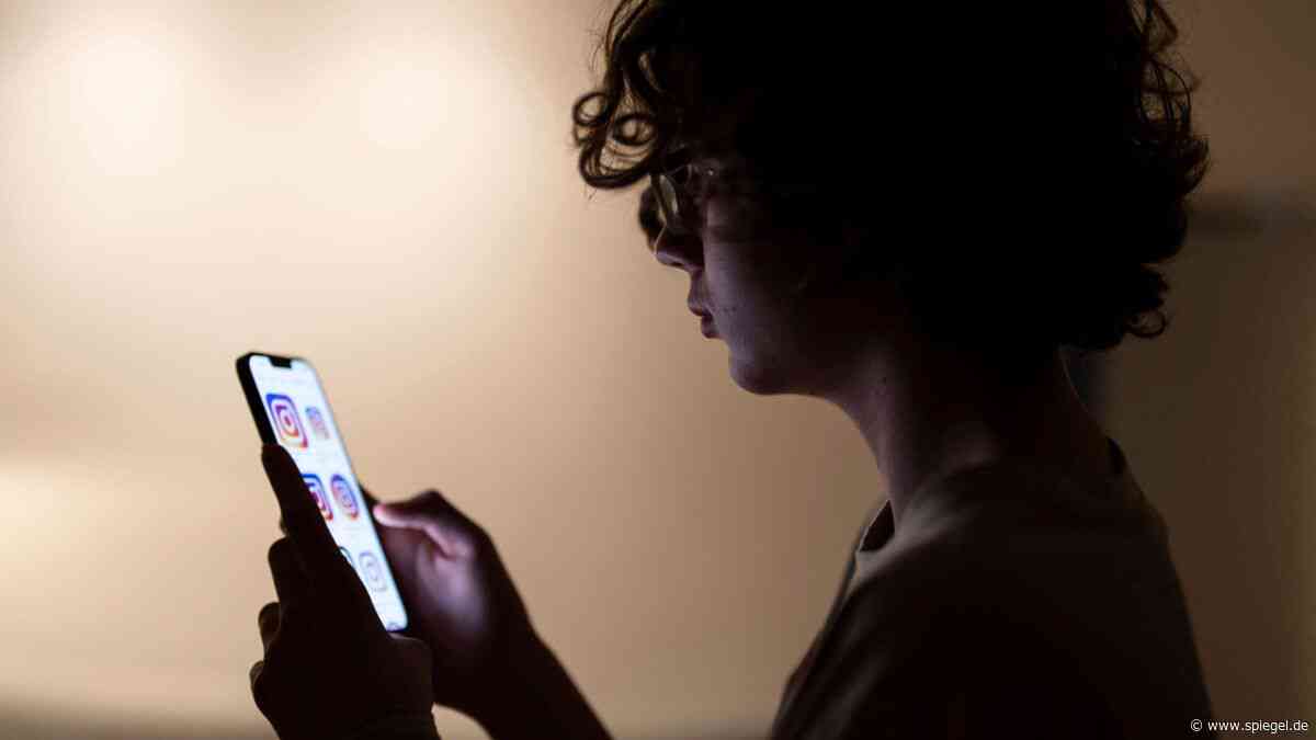 Österreich beschließt Altersnachweis für Pornowebsites – und Social-Media-Verbot