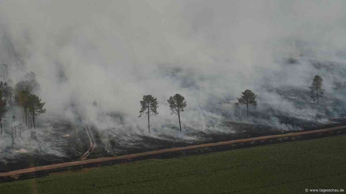 Waldbrände bei Bordeaux: Feuerwehr kämpft gegen neue Flammen