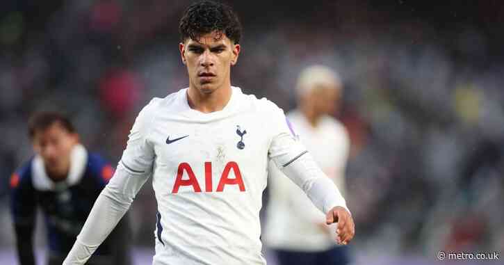 Mateus Fernandes injury update amid concern over £85m Tottenham signing