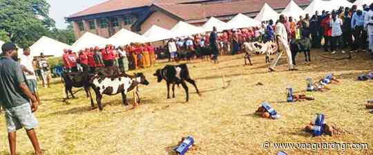 Oke-Aku, a celebration that unites Ezza people of Ebonyi
