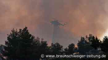 Waldbrand auf beliebter Insel Paros – mehrere Dörfer evakuiert
