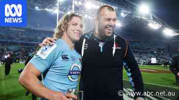 Rugby Australia tight-lipped on possible Cheika homecoming