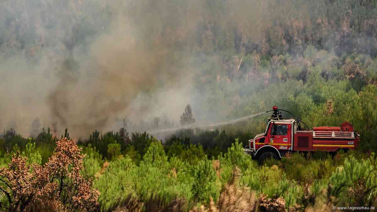 Waldbrände in Südeuropa - warum Löschen allein nicht mehr reicht