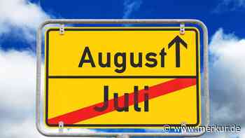 Neue Gesetze ab August 2026: Was sich bei KI, Verpackungen und Reparaturen jetzt ändert