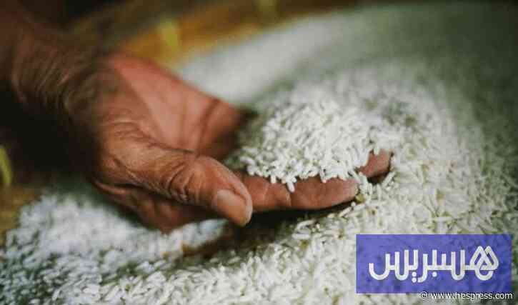 الأرز المصري يغرق السوق المغربية