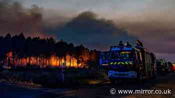 France wildfires live: Heatwave to peak with 41C blast and winds fanning flames