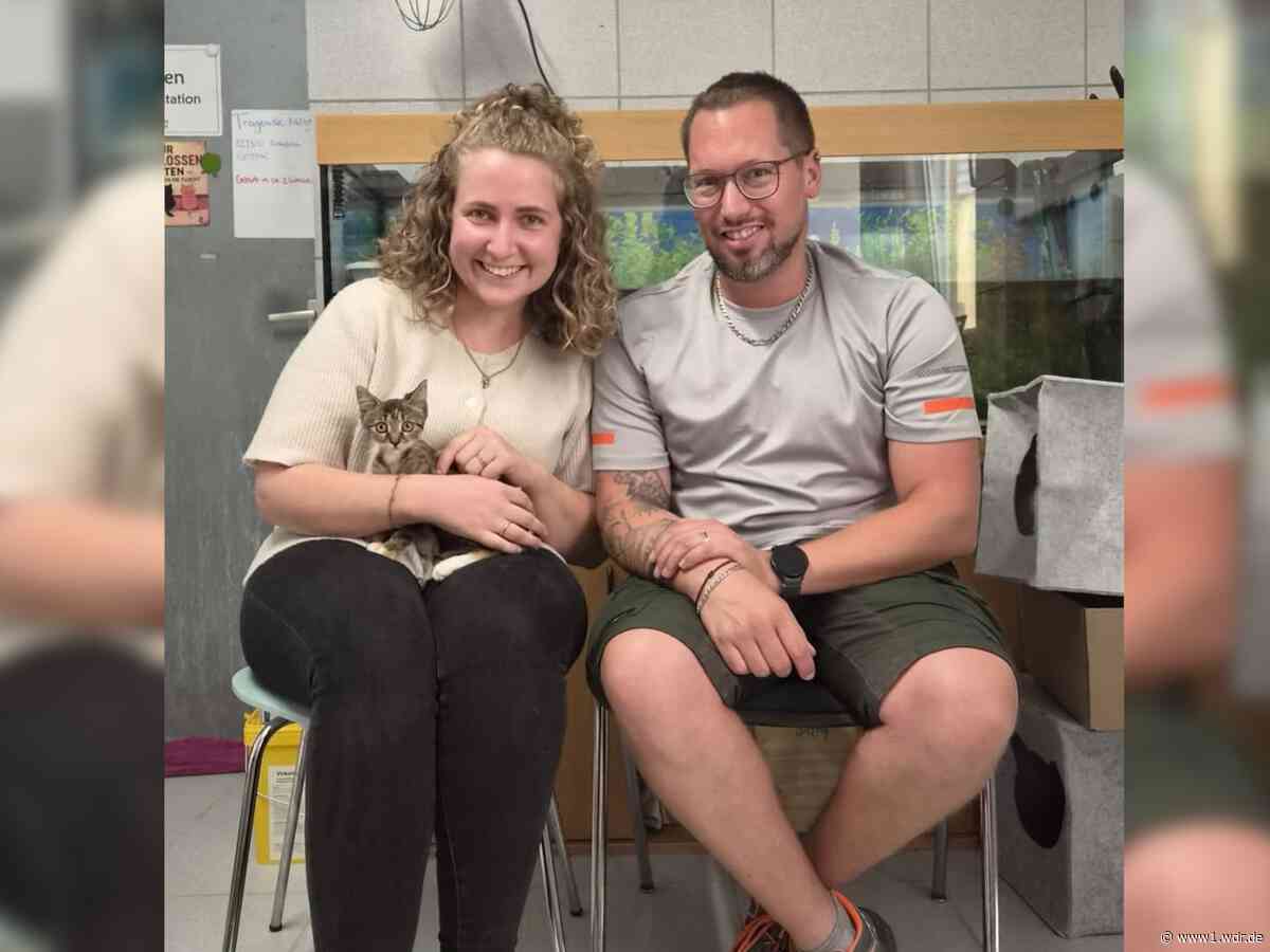 Tierheim Köln-Dellbrück: Katze Olivia hat neues Zuhause