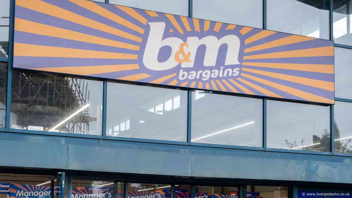 B&M £15 'premium' vase makes an impression 'anywhere' in homes