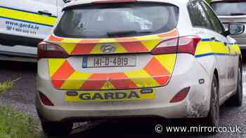 Tragedy as girl, 9, dies in hospital days after mother killed in horror crash