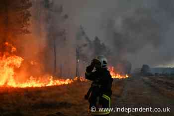 France wildfires latest: Temperatures to reach 44C today as thousands more evacuated near Bordeaux