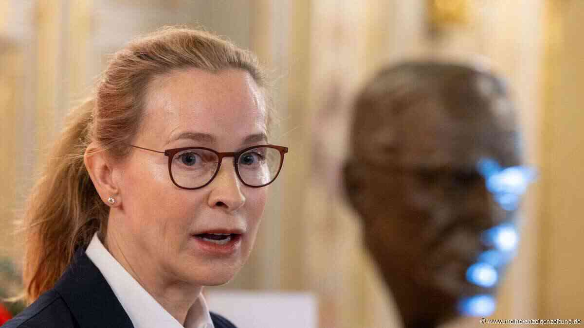 Uni Hamburg: Brosius-Gersdorfs Doktorarbeit ist kein Plagiat
