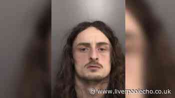 Thug who battered brothers with golf club wanted by police