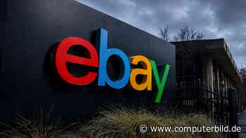 Kakerlaken und blutige Schweinemaske: Ebay zahlt 50 Millionen Dollar