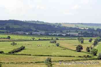 One in seven English farm holdings has disappeared since 2005
