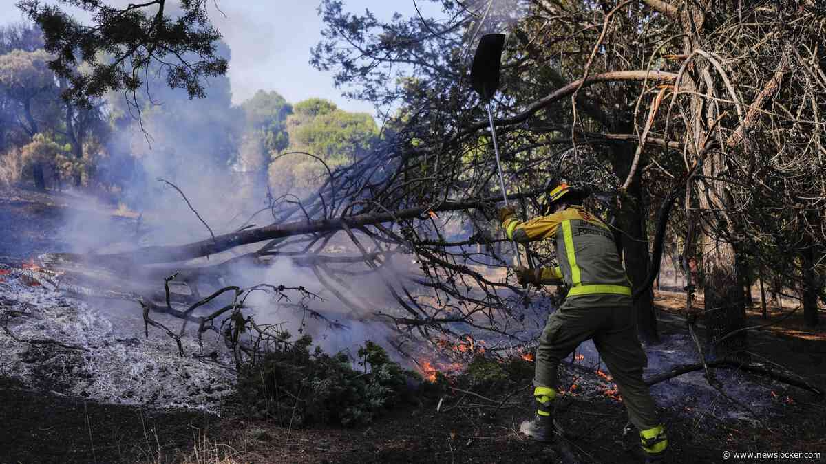 LIVE | Tienduizenden mensen terug naar huis bij Madrid, brandweer nog steeds bezig vuur in te dammen