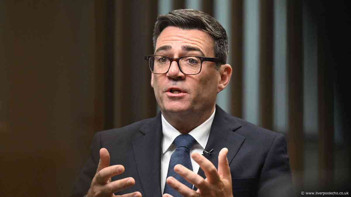 How does adult social care work in England and what is Burnham's plan