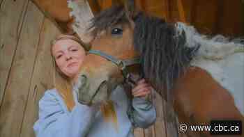B.C. ranch shelters dozens of horses as wildfire forces evacuations