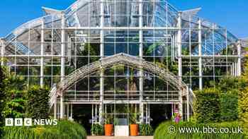 Heatwave winners and losers in RHS Wisley trial