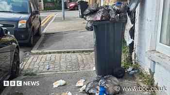 Council faces legal action over bin collection fails