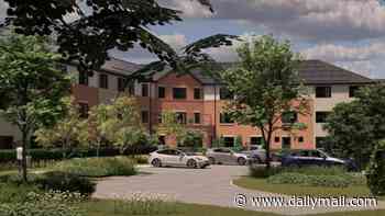The town facing down claims it has 'too many old people' as residents object to an eighth care home