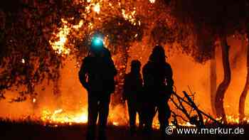 Flammen-Inferno auf Griechenland-Insel: Bewohner und Urlauber sollen an Strände fliehen