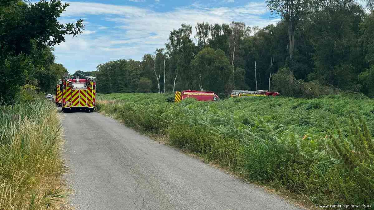 Holme Fen nature reserve fire expected to last 'couple of days'