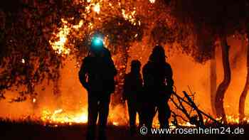 Flammen-Inferno auf Griechenland-Insel: Bewohner und Urlauber sollen an Strände fliehen