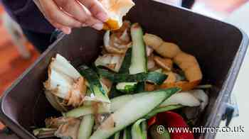 Binman's trick to stop maggots taking over your food waste bin
