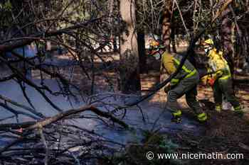 Incendies en Espagne : 77.000 hectares ravagés, pas de reprises de feu dans la nuit, les habitants évacués regagnent leur domicile... on fait le point