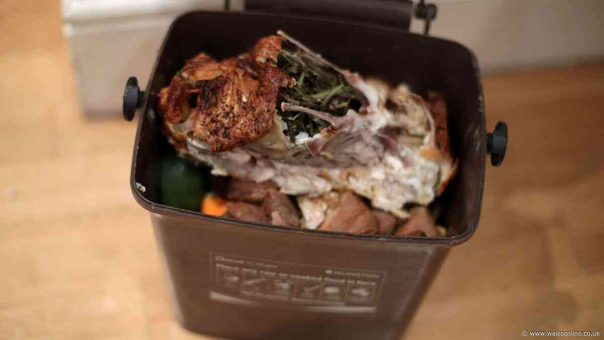 Binman's 1 item you can put in food bin to stop it sticking
