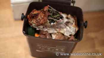 Binman's 1 item you can put in food bin to stop it sticking