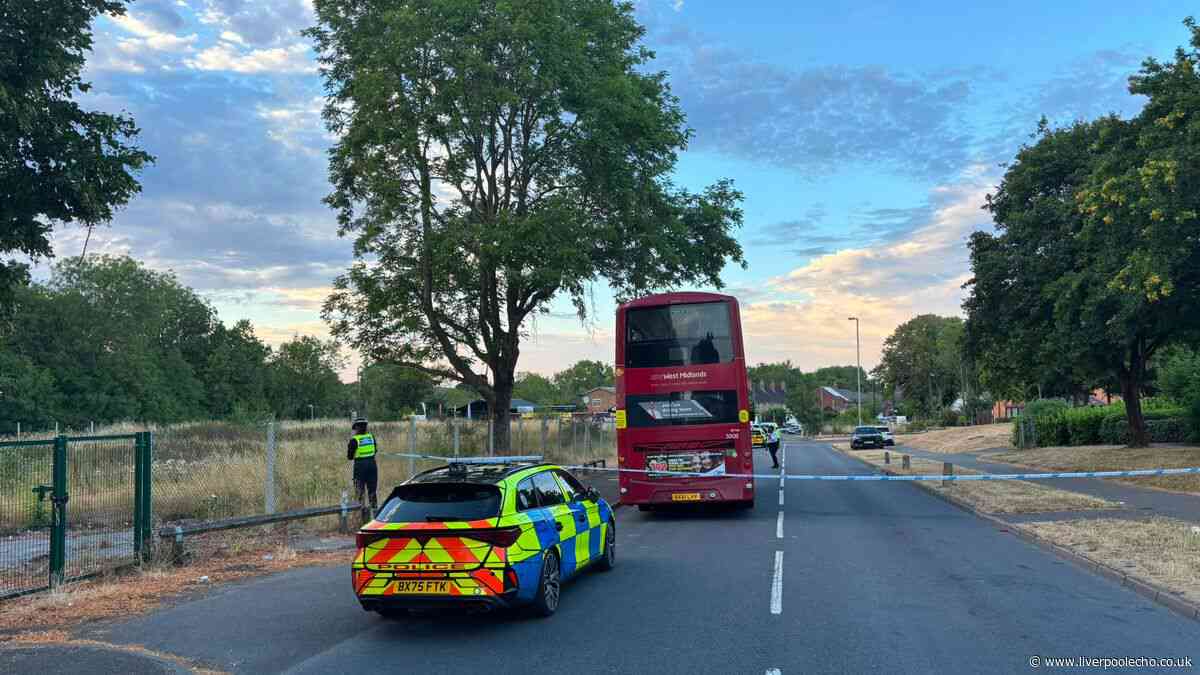 Paramedics restart boy's heart at the side of the road after horror crash