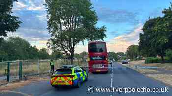 Paramedics restart boy's heart at the side of the road after horror crash