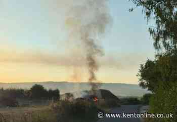 Pictures show smoke billowing into sky as firefighters tackle vehicle blaze in field