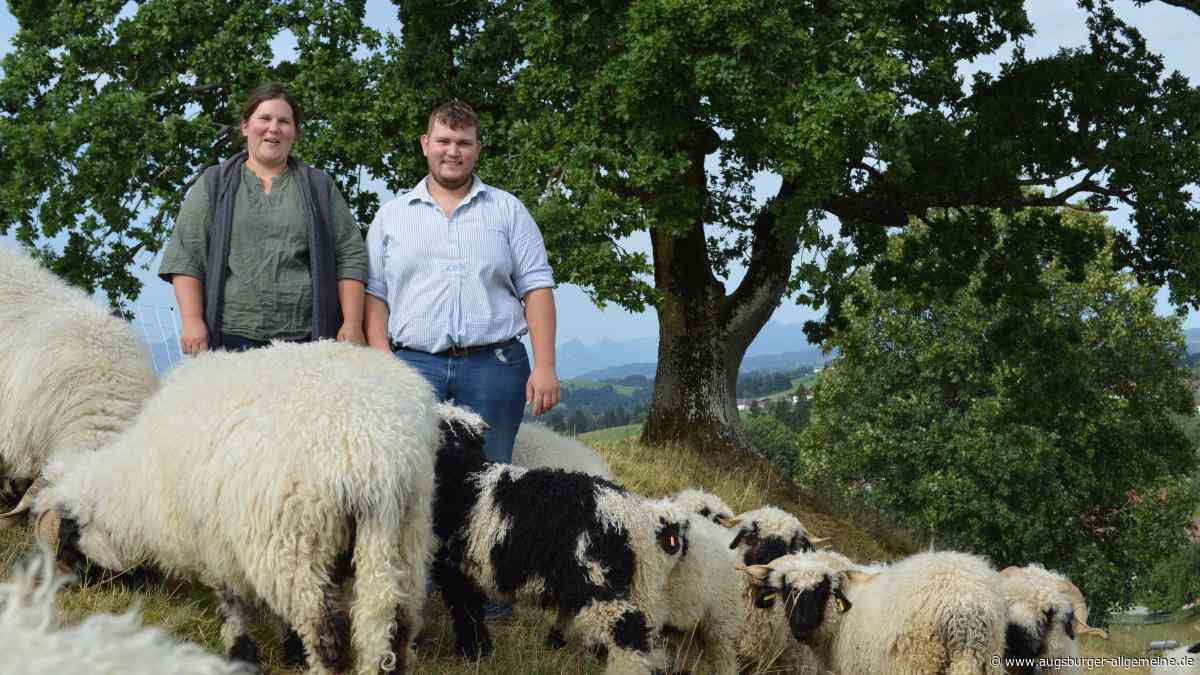 Junger Allgäuer verarbeitet Schafwolle zu nachhaltigem Dünger