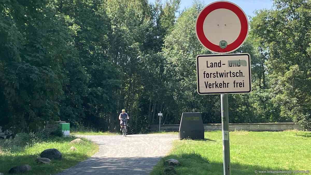 Blitzer auf Wolfsburger Waldweg – die wohl untätigste Radarfalle der Stadt