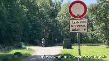 Blitzer auf Wolfsburger Waldweg – die wohl untätigste Radarfalle der Stadt