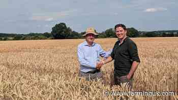Oxford spinout buys wheat breeder in precision-breeding push