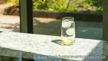 The ice cube hack that will keep flies away from your food and drinks this summer